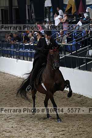 Proof Number 10r14_5577