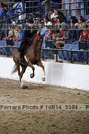 Proof Number 10r14_5584