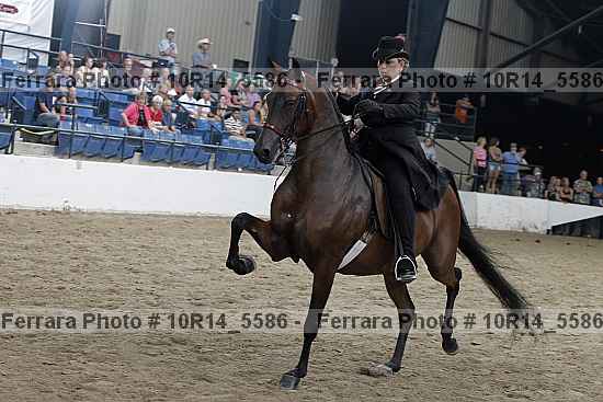 Proof Number 10r14_5586
