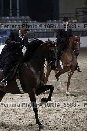 Proof Number 10r14_5588
