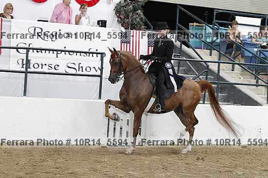 Proof Number 10r14_5594