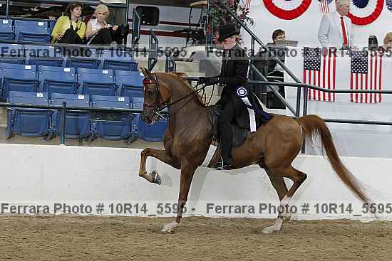 Proof Number 10r14_5595
