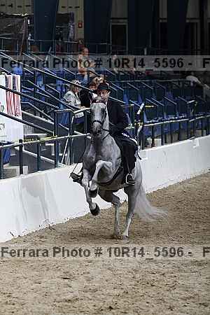 Proof Number 10r14_5596