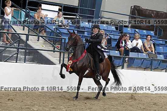Proof Number 10r14_5598