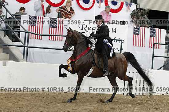 Proof Number 10r14_5599