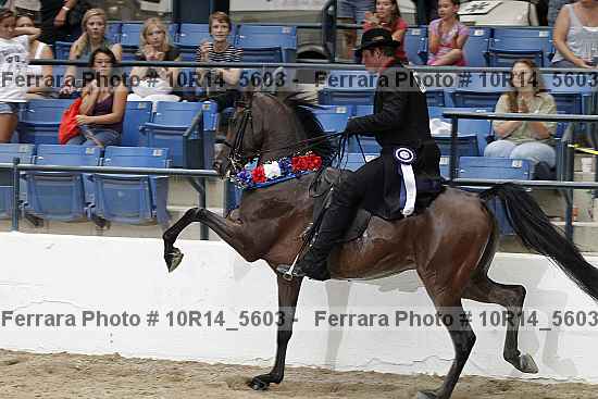 Proof Number 10r14_5603