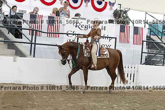 Proof Number 10r14_5666