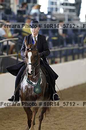 Proof Number 10r14_5712