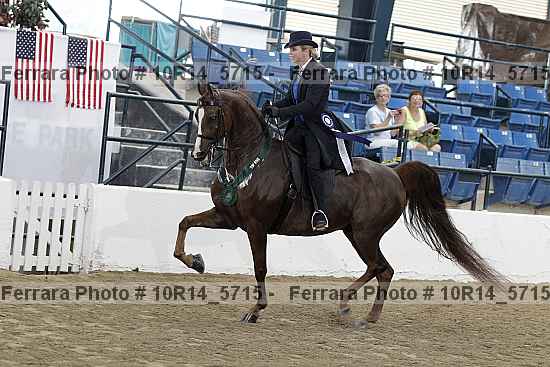 Proof Number 10r14_5715