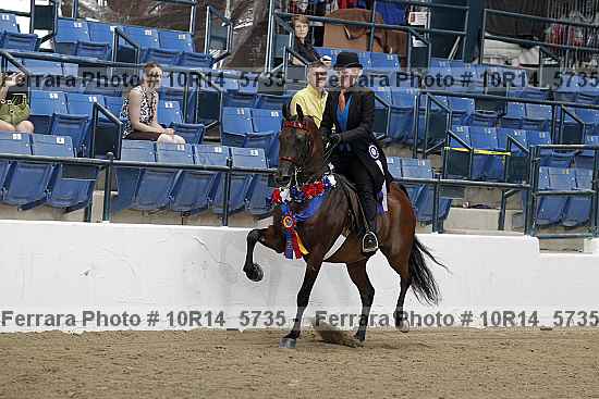 Proof Number 10r14_5735