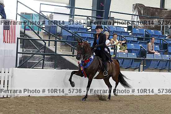 Proof Number 10r14_5736