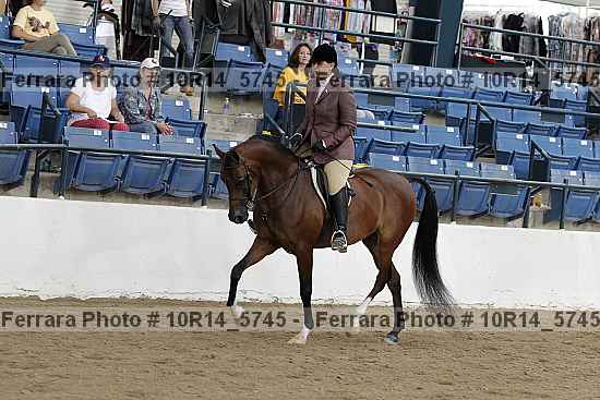 Proof Number 10r14_5745