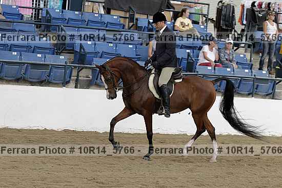 Proof Number 10r14_5766