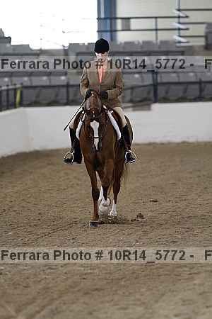 Proof Number 10r14_5772