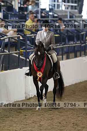 Proof Number 10r14_5794