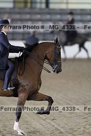 Proof Number _mg_4338