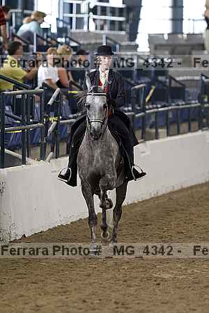 Proof Number _mg_4342