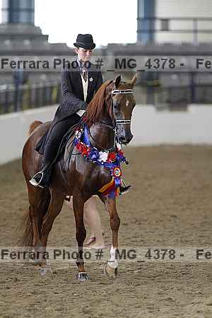 Proof Number _mg_4378