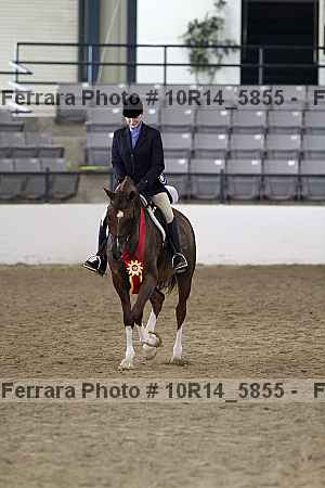 Proof Number 10r14_5855