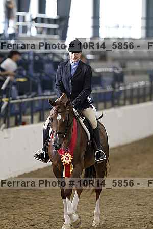 Proof Number 10r14_5856
