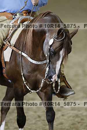 Proof Number 10r14_5875