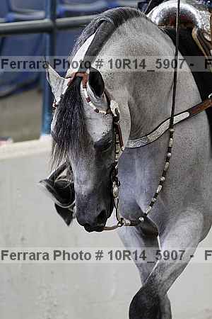 Proof Number 10r14_5907