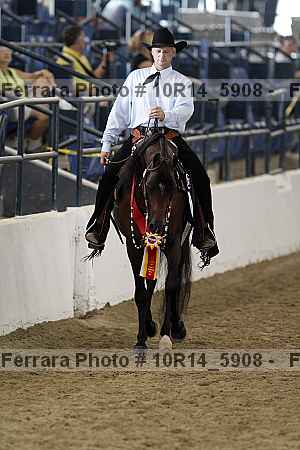 Proof Number 10r14_5908