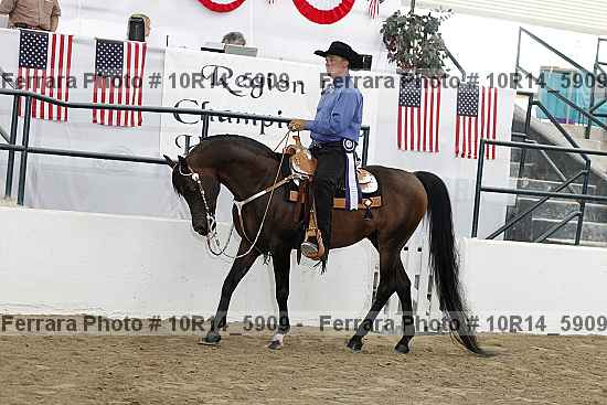 Proof Number 10r14_5909