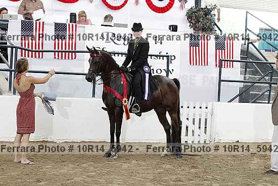 Proof Number 10r14_5942