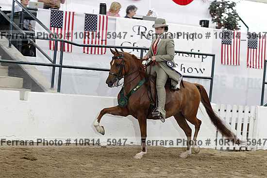 Proof Number 10r14_5947