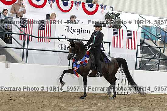 Proof Number 10r14_5957