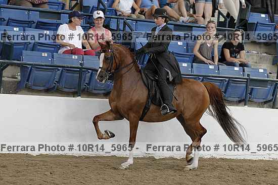 Proof Number 10r14_5965
