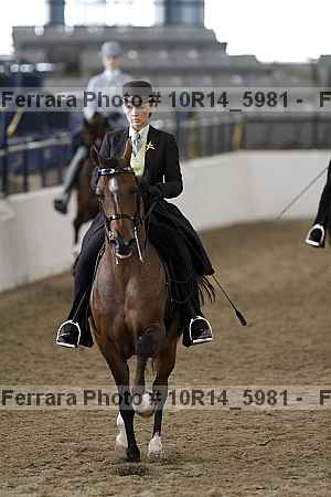 Proof Number 10r14_5981