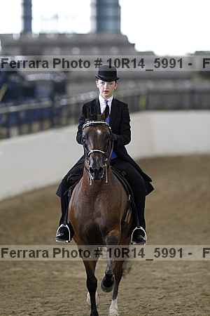 Proof Number 10r14_5991