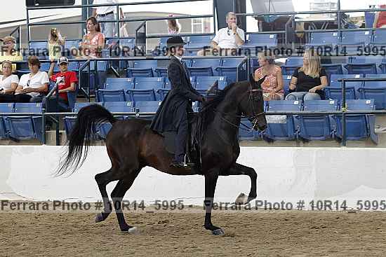 Proof Number 10r14_5995