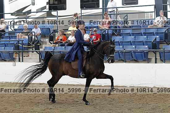 Proof Number 10r14_5996