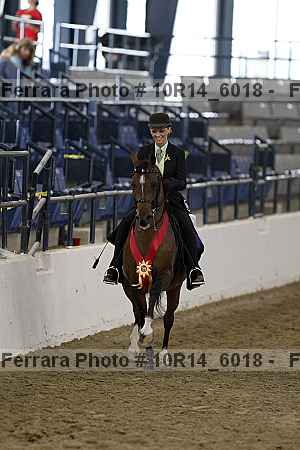 Proof Number 10r14_6018