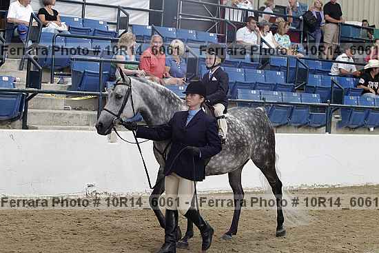Proof Number 10r14_6061
