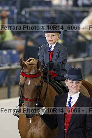 Proof Number 10r14_6066