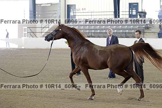 Proof Number 10r14_6096