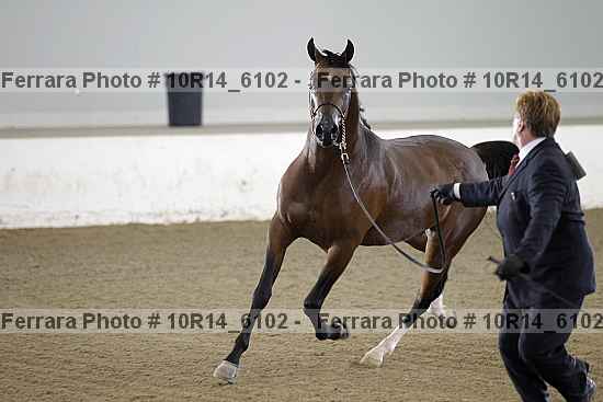 Proof Number 10r14_6102