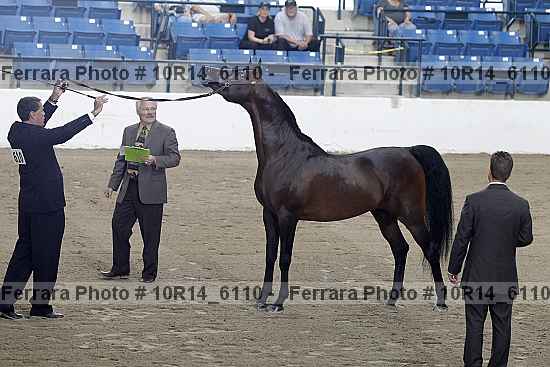 Proof Number 10r14_6110