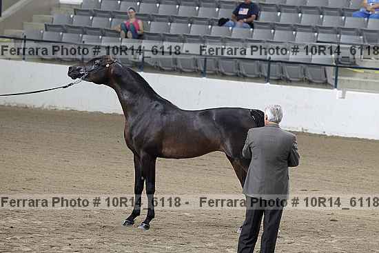 Proof Number 10r14_6118