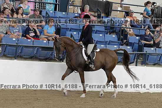 Proof Number 10r14_6188