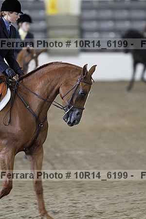 Proof Number 10r14_6199