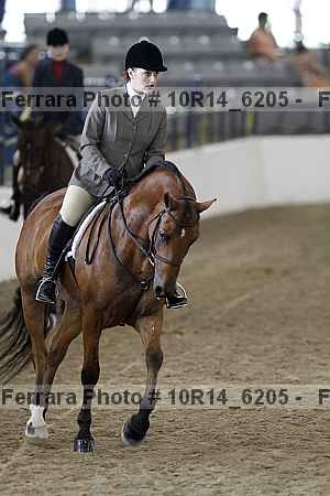 Proof Number 10r14_6205