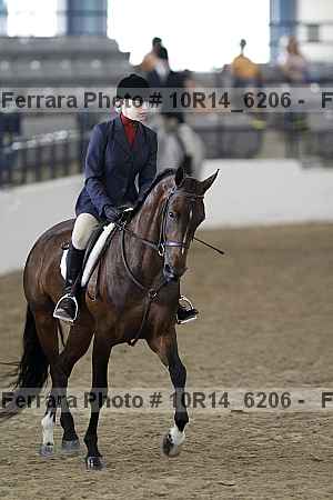 Proof Number 10r14_6206
