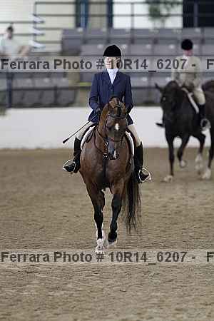 Proof Number 10r14_6207