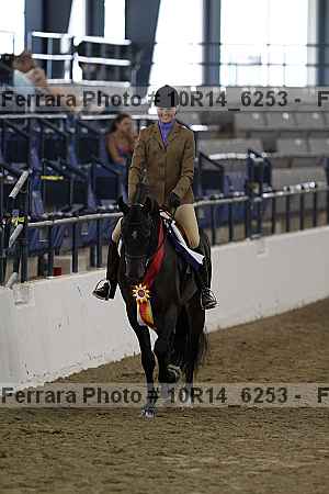 Proof Number 10r14_6253