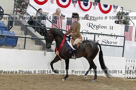 Proof Number 10r14_6258